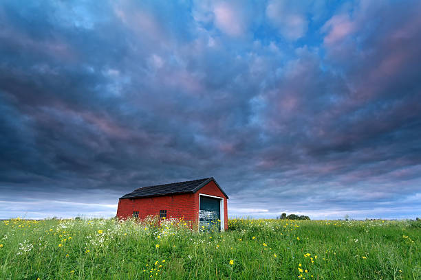 istock sunset sky over farmhouse on rape field 490695053