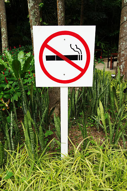 istock No smoking sign in park 490695168