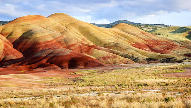 john day monumento nazionale - riparian forest foto e immagini stock