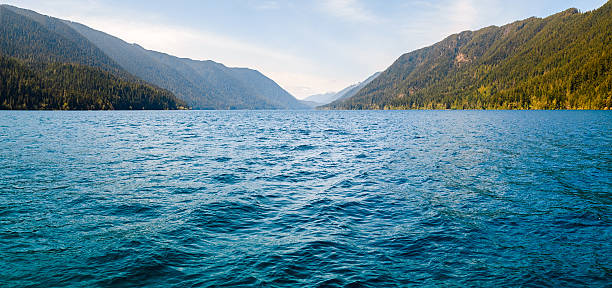 istock Crescent Lake, Olympic National Park 490696410