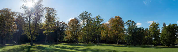 istock Canon Hill Park Edgbaston treeline panorama. 490696930