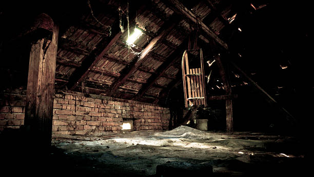 istock Snow sled hung in the attic 490715768