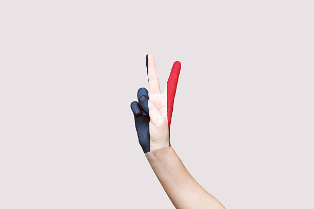 French flag painted on hand, letter V sign, isolated on gray