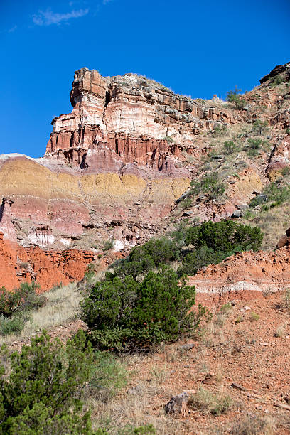 istock Palo Duro canyon, Texas 490718786