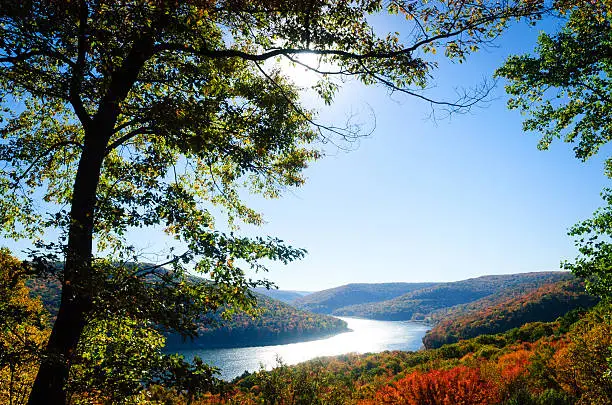 Photo of Allegheny National Forest