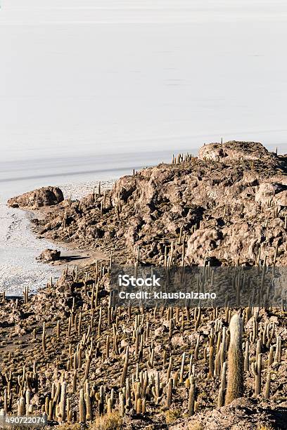 Cactus Stock Photo - Download Image Now - 2015, Altiplano, Blue