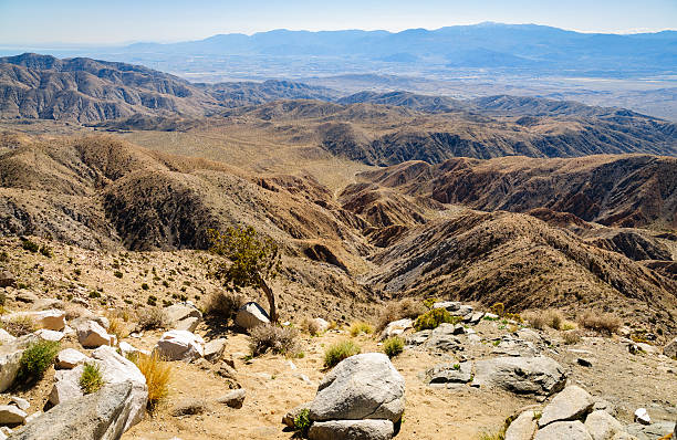 istock Joshua Tree National Park 490722560