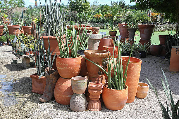 istock Artistic display of terracotta pots and succulent plants 490723366