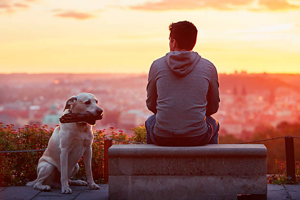 istock Man with dog at the sunrise 490726150