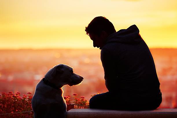 Young man with his dog at the sunrise