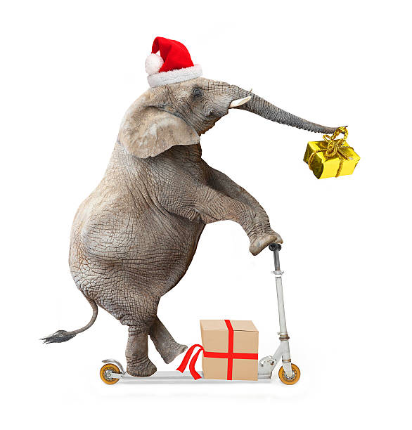 istock Elephant as a Santa Claus. 490729172