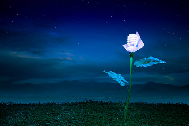 istock Energy concept, earth friendly light bulb plant at night 490735227