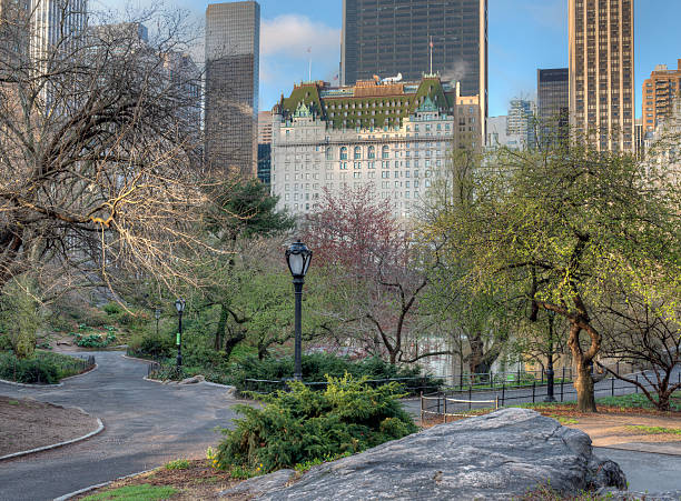istock Central Park, New York City 490736495