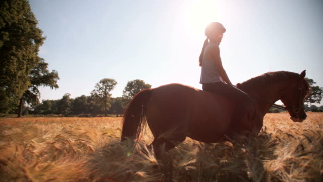 Girl riding a healthy brown horse in a field