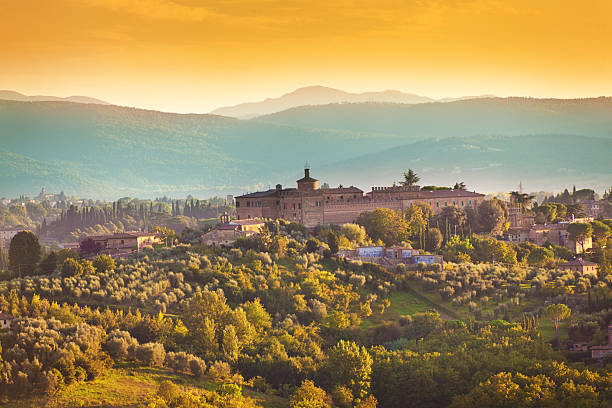 トスカーナの国のブドウ園の美しい庭園と丘陵の町 - vineyard tuscany italy italian culture ストックフォトと画像