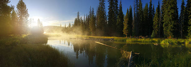 istock Calm misty river at sunrise 490755352