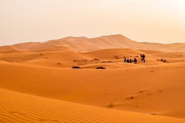 istock Sand dunes in Merzouga, Morocco 490755368