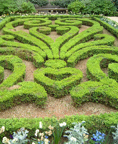 istock Sculpted Hedges in a Parisian Garden 490755528
