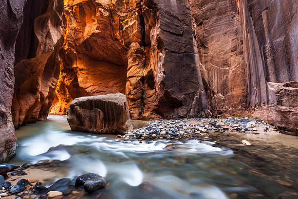 Wall street in the Narrows, Zion National Park, Utah Wall street in the Narrows, Zion National Park, Utah zion stock pictures, royalty-free photos & images