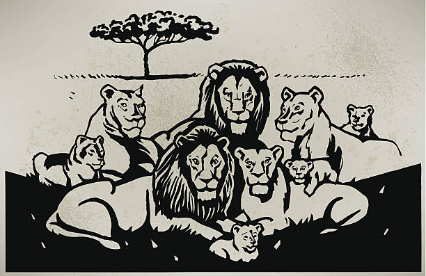 850+ Pride Of Lions Stock Illustrations, Royalty-Free Vector