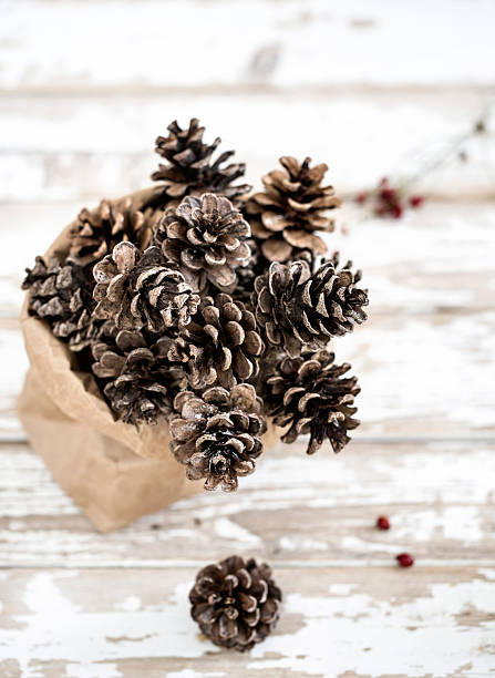 istock Pine cones in a paper bag. 490774808