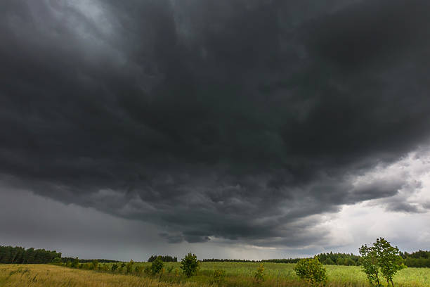 istock Dark stormy clouds over corn field at summer 490775048