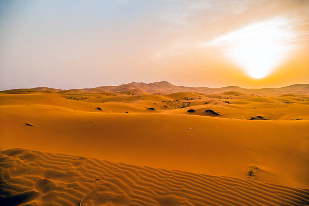 istock Sand dunes in Merzouga, Morocco 490775116