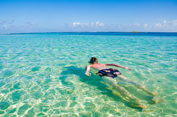 istock Snorkeling in clear water 490775221