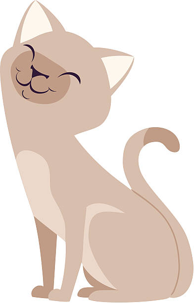 Orange Cat Sitting Illustrations, Royalty-Free Vector Graphics & Clip Art -  iStock