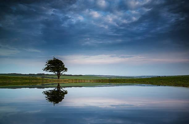 istock Dramatic stormy sky reflected in dew pond countryside landscape 490776125