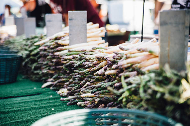 Market Life