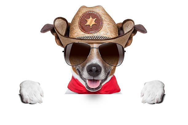 cane da cowboy - cowboy desire west poster foto e immagini stock
