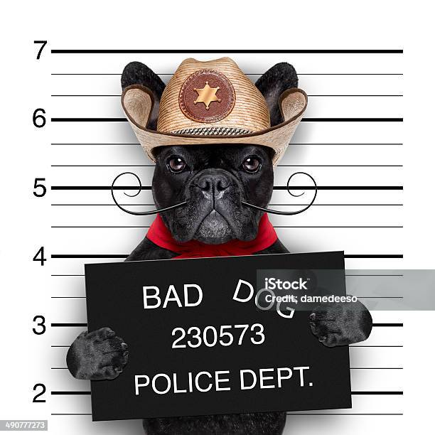 Wanted Dog Stock Photo - Download Image Now - Dog, Black Color, Burglar