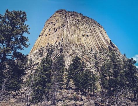 Devil's tower national monument in northeast Wyoming with copyspace and Bales of hay align in fields pointing way to Devil's Tower in Wyoming - site of Close Encounters of the Third Kind.