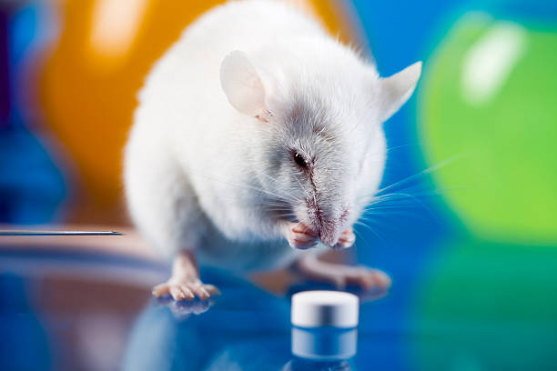 istock Workplace modern laboratory for molecular biology test on blue background 490777347