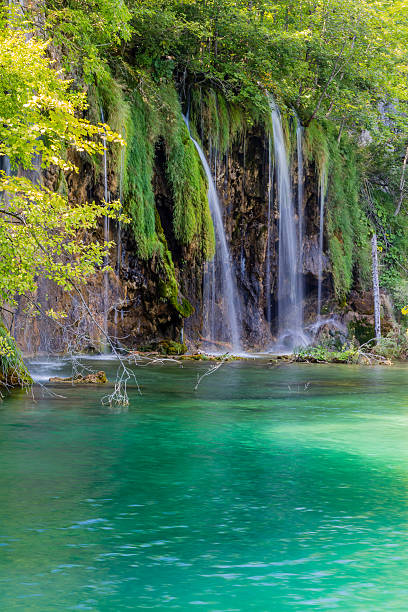 istock Waterfalls in Plitvice National Park, Croatia 490777470