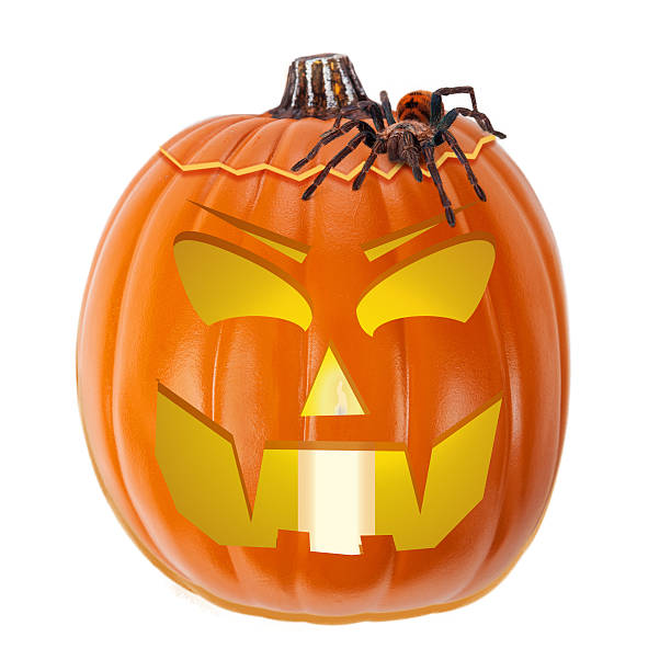 istock Scary Halloween Jack-O-Lantern With Tarantula Spider 490777506