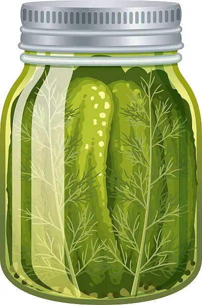 Vector illustration of Pickled cucumbers in glass jar isolated on white