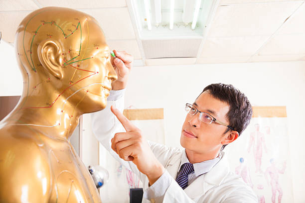 chinese medicine doctor point  acupoint on human model chinese medicine doctor point  acupoint on human model in a room acupuncture model stock pictures, royalty-free photos & images