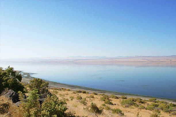 istock Shore of Lake Albert 490778206