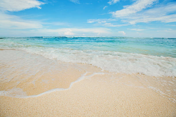 istock Wonderful tropical beach with blue sky 490779214