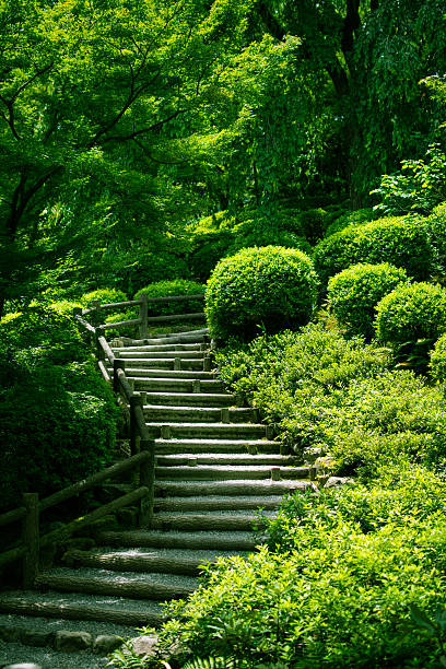 A stairway leading up through a Japanese garden to the woods beyond. Taken in Kyoto, Japan.