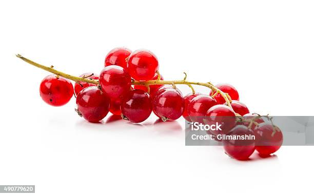 Ripe Red Currant On A White Background Stock Photo - Download Image Now - 2015, Branch - Plant Part, Close-up