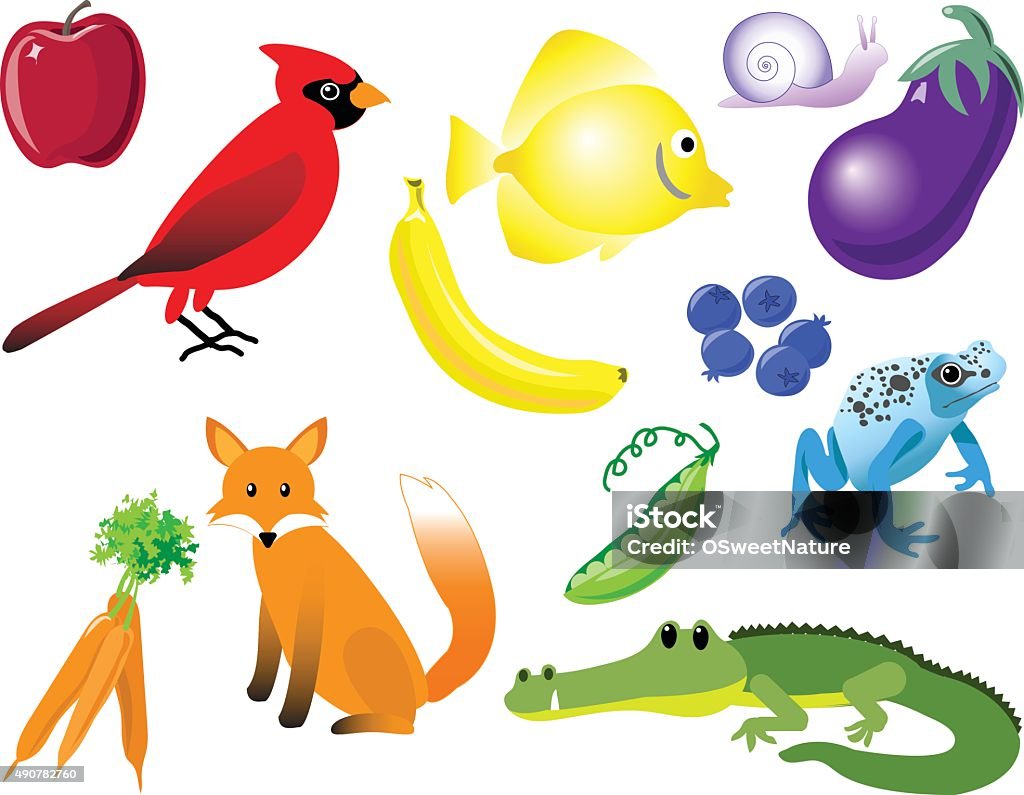 Color Matching Animals Fruit And Vegetables Stock Illustration - Download  Image Now - Like Two Peas In A Pod, 2015, Alligator - iStock