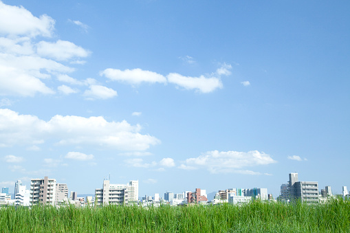 Grassland and city under the blue sky.