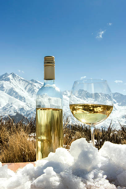 istock Glass and bottle of white wine on snow 490783412