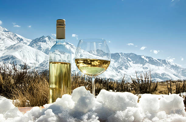 istock Glass and bottle of white wine on snow 490783444