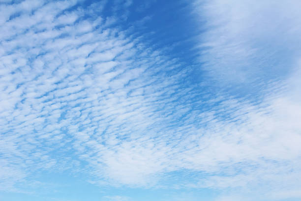 sardina nube de - cirrocumulus fotografías e imágenes de stock