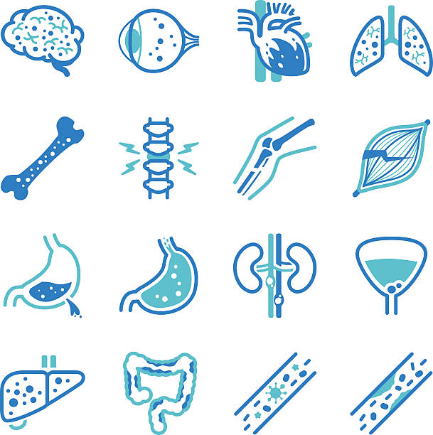 Human internal organ symptoms icon set human internal organ symptoms icons. cancer illness illustrations stock illustrations