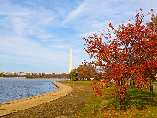 istock Washington Monument and Tidal Basin in autumn. 490795512